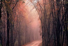 一场胜负激烈的对决:令人难忘的瞬间