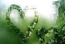 莫雷尼奥入主国王，球队期待转型优势