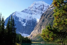 贝蒂斯连胜状态不减,球队气势如虹