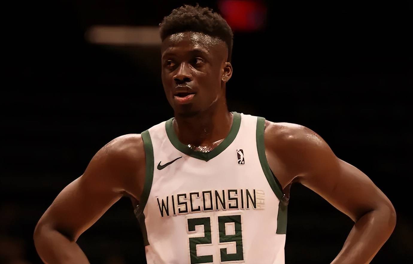 包含雄鹿横扫掘金，字母哥成为全队灵魂的词条